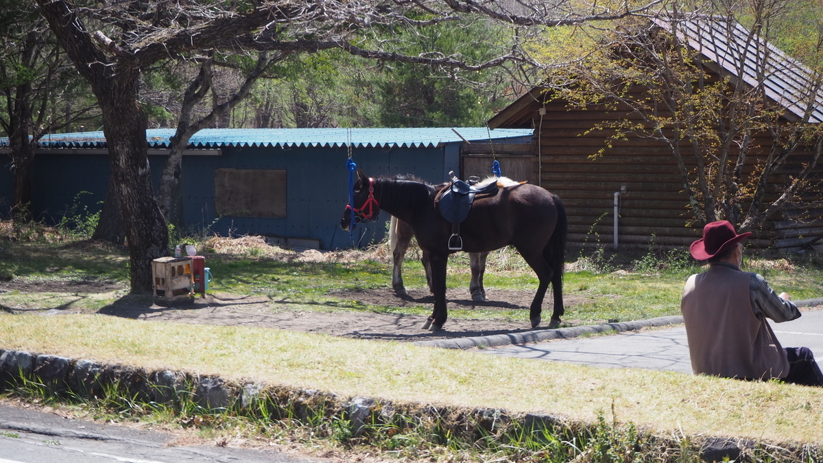 f:id:spi_8823:20210508101135j:image:w400