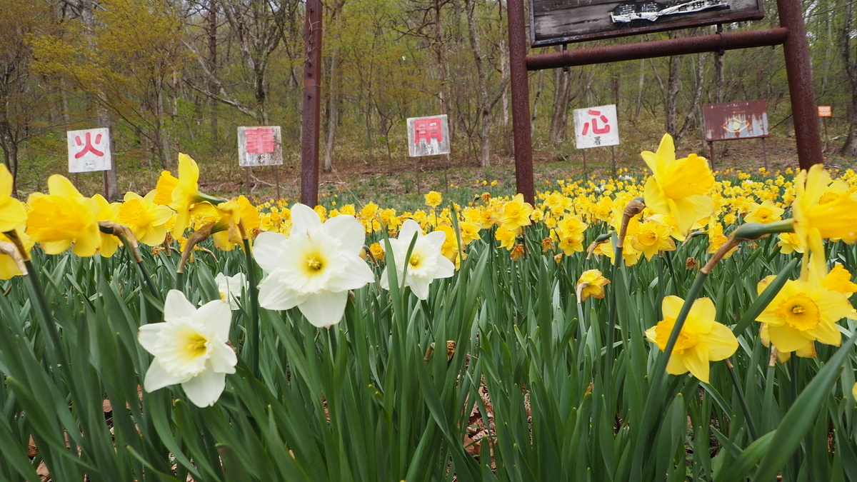 f:id:spi_8823:20210508115308j:image:w400