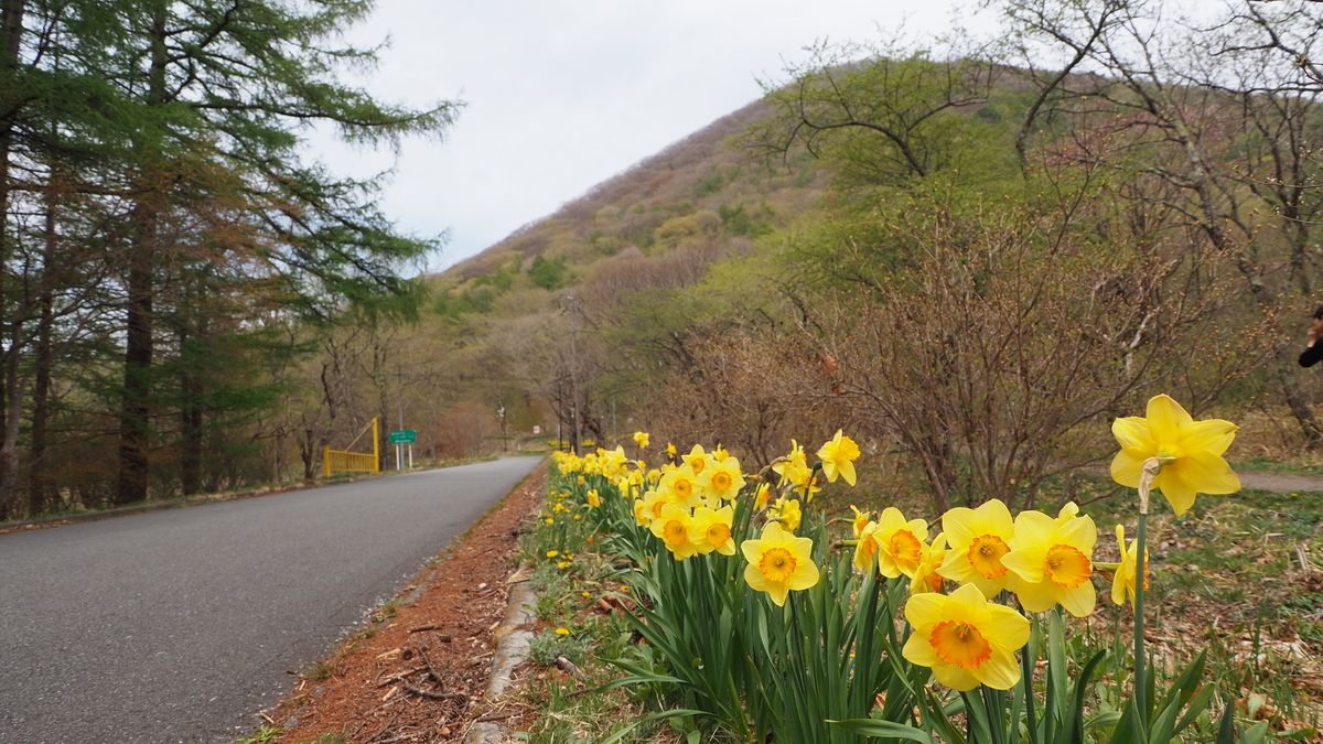 f:id:spi_8823:20210508115612j:image:w400