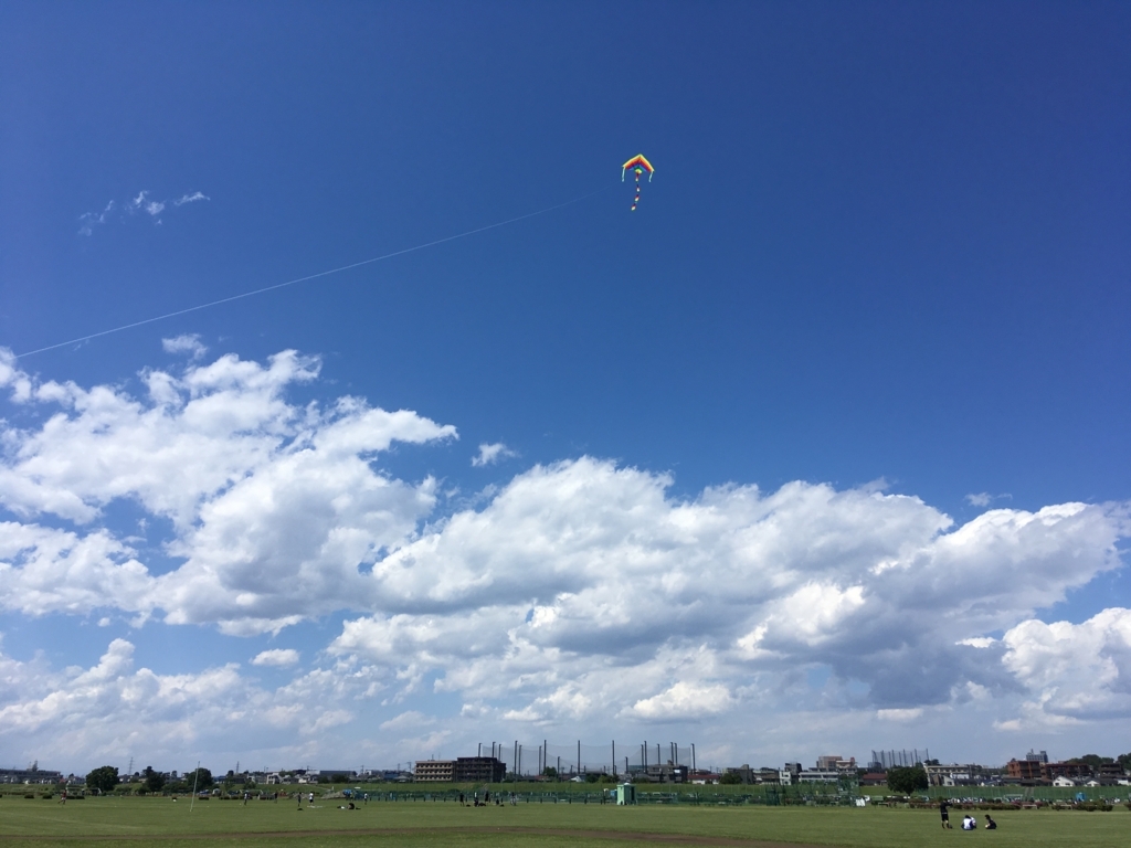 f:id:spica-suzuhazu:20180613225719j:plain f:id:spica-suzuhazu:20180613225719j:plain