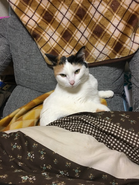 f:id:spica_mike:20181216100752j:plain