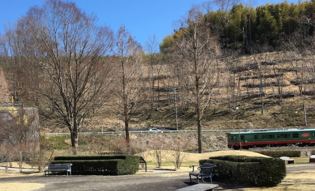 益子町　旅行　ランチ
