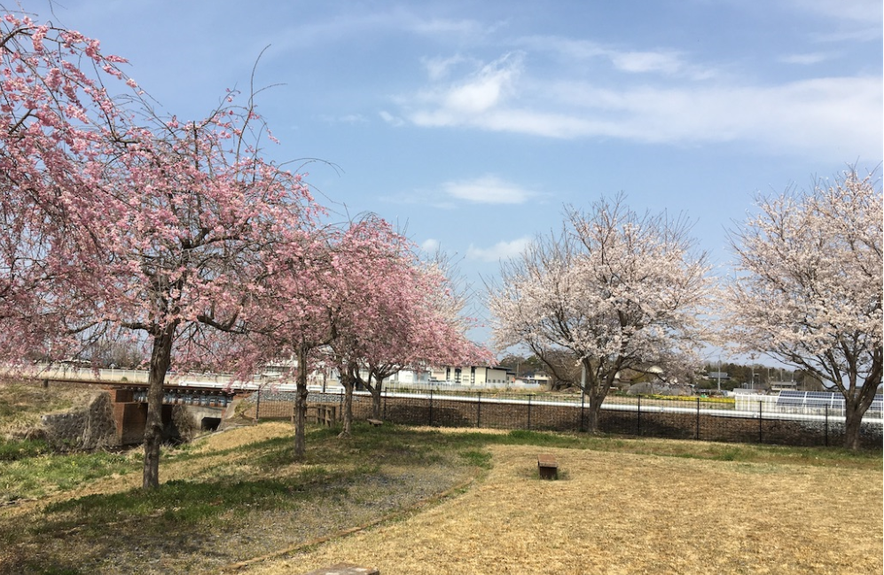 真岡鉄道 SL ローカル線