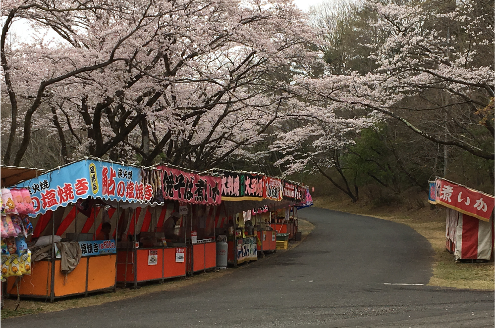 根本山　花見　出店