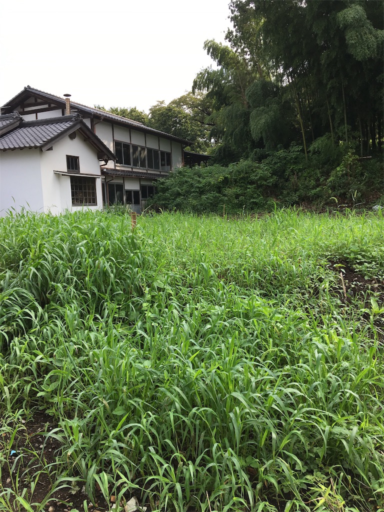 f:id:spicarisa:20191017123508j:image f:id:spicarisa:20191017123508j:image