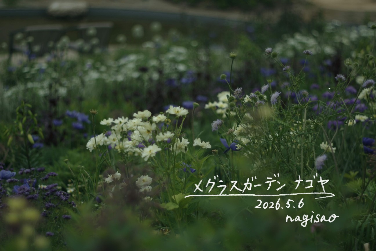 f:id:spice16g:20260605095858j:image f:id:spice16g:20260605095858j:image
