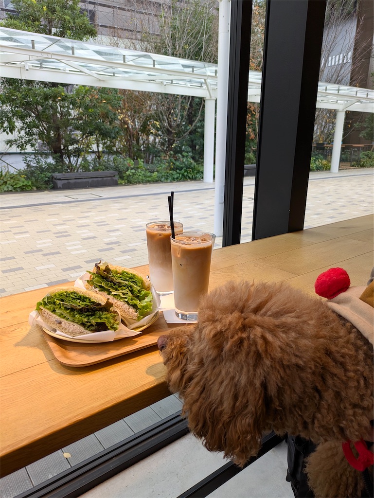 f:id:spiceespresso:20251222165430j:image f:id:spiceespresso:20251222165430j:image