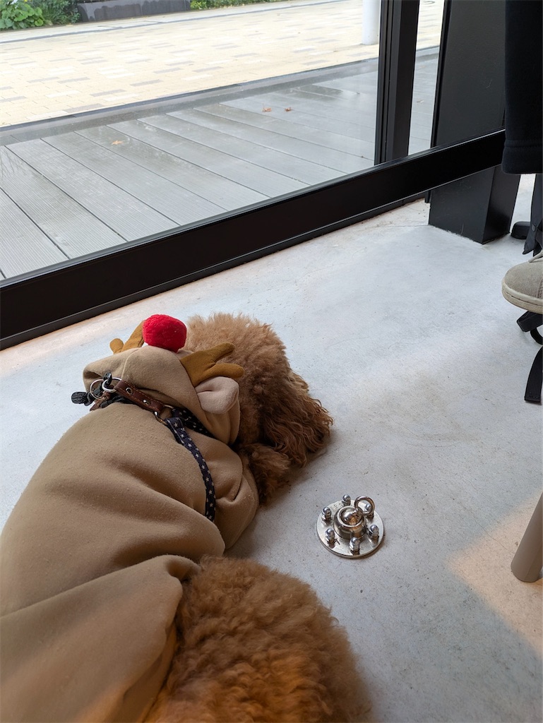 f:id:spiceespresso:20251222165457j:image f:id:spiceespresso:20251222165457j:image