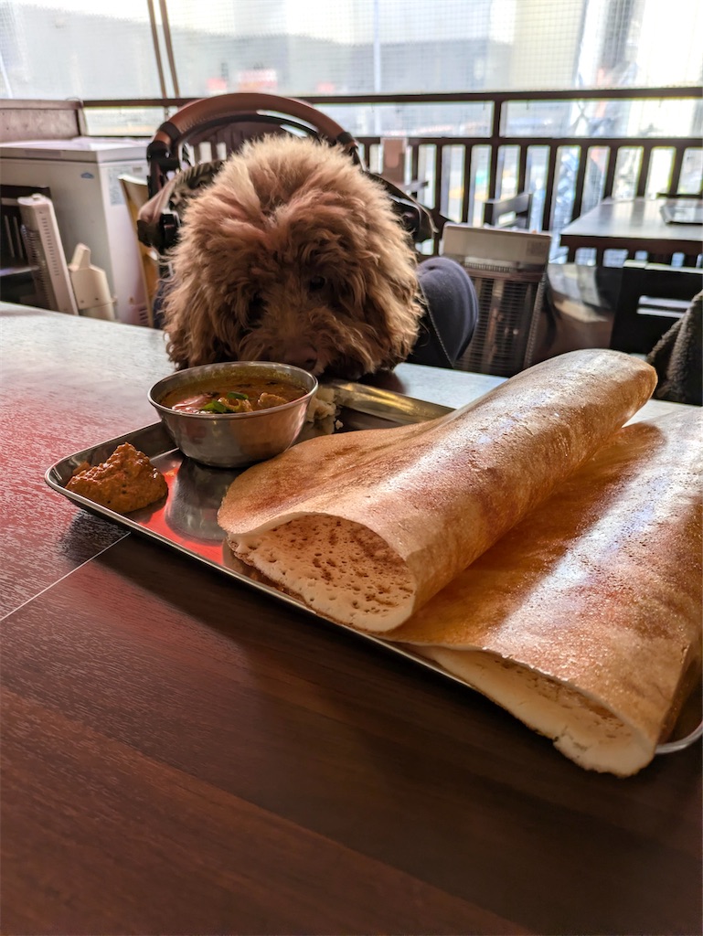 f:id:spiceespresso:20260118181307j:image