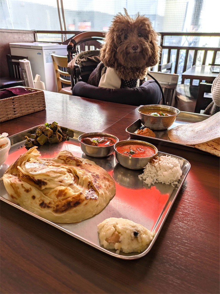 f:id:spiceespresso:20260118181353j:image