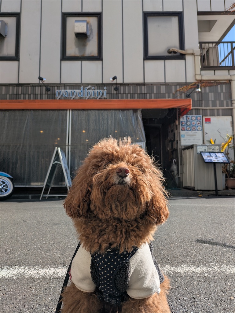 f:id:spiceespresso:20260118181440j:image