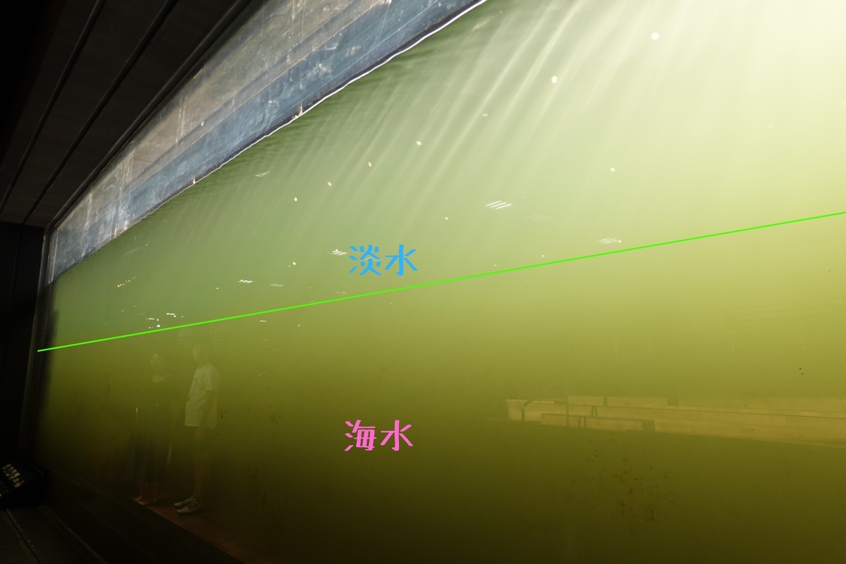 f:id:spider-sw:20190812085236j:plain f:id:spider-sw:20190812085236j:plain