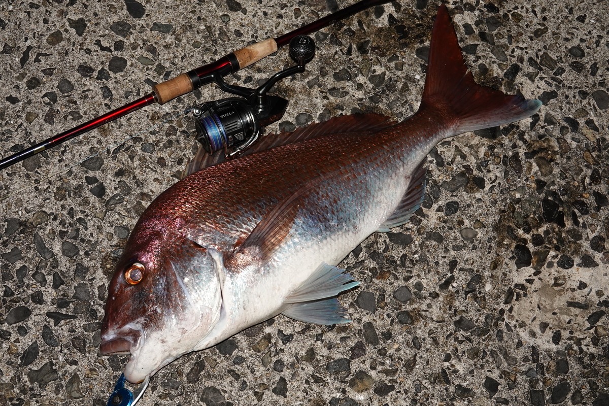 22ステラ4000XG インプレッション - Spider's Fishing Blog