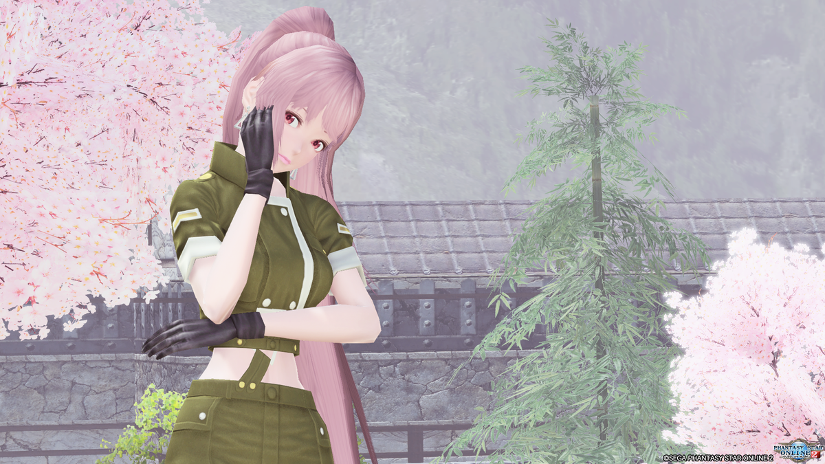 PSO2 レナスSS日記011... [PSO2_NO.20] - ゆるぬるゲーマーの「ひとり言」
