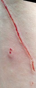 f:id:spincast:20200917230018j:plain