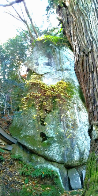 f:id:spincast:20201121212345j:plain