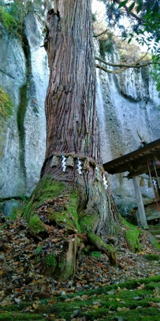f:id:spincast:20201121212508j:plain