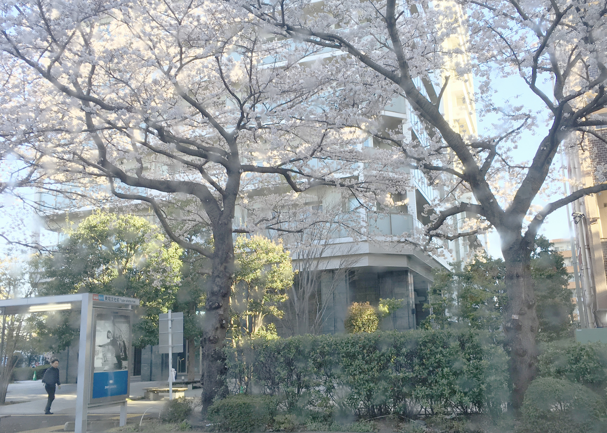 f:id:spinthewink:20190407200446j:plain f:id:spinthewink:20190407200446j:plain