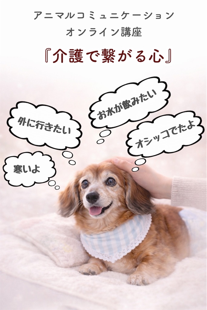 f:id:spipet:20260811172531j:image f:id:spipet:20260811172531j:image