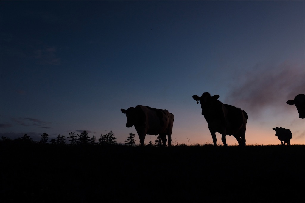 f:id:spiralout:20240902201354j:image f:id:spiralout:20240902201354j:image