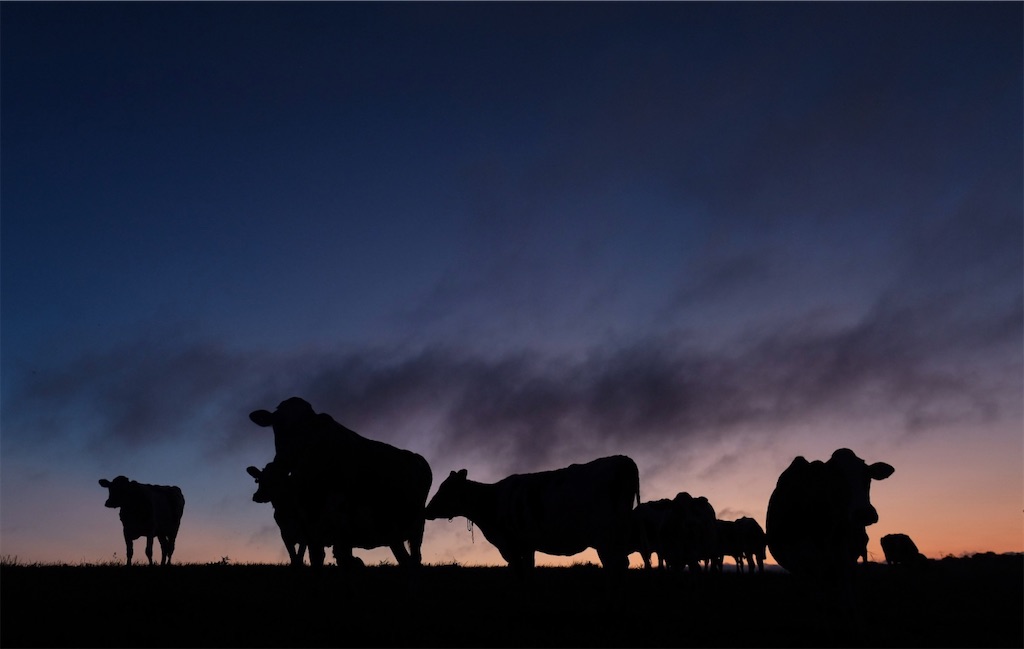 f:id:spiralout:20240902201357j:image f:id:spiralout:20240902201357j:image