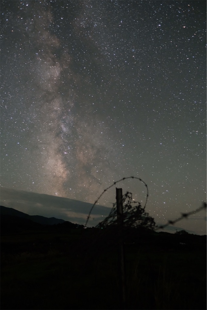 f:id:spiralout:20240902201402j:image f:id:spiralout:20240902201402j:image