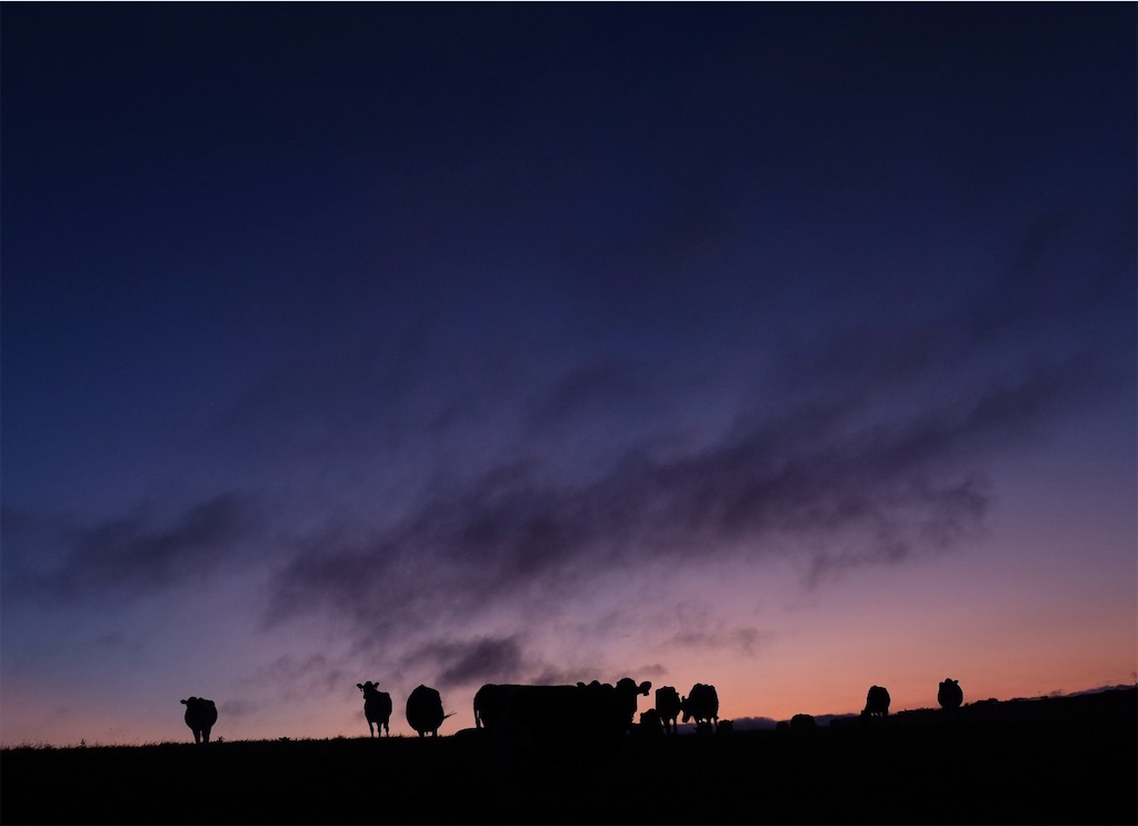 f:id:spiralout:20240902201410j:image f:id:spiralout:20240902201410j:image