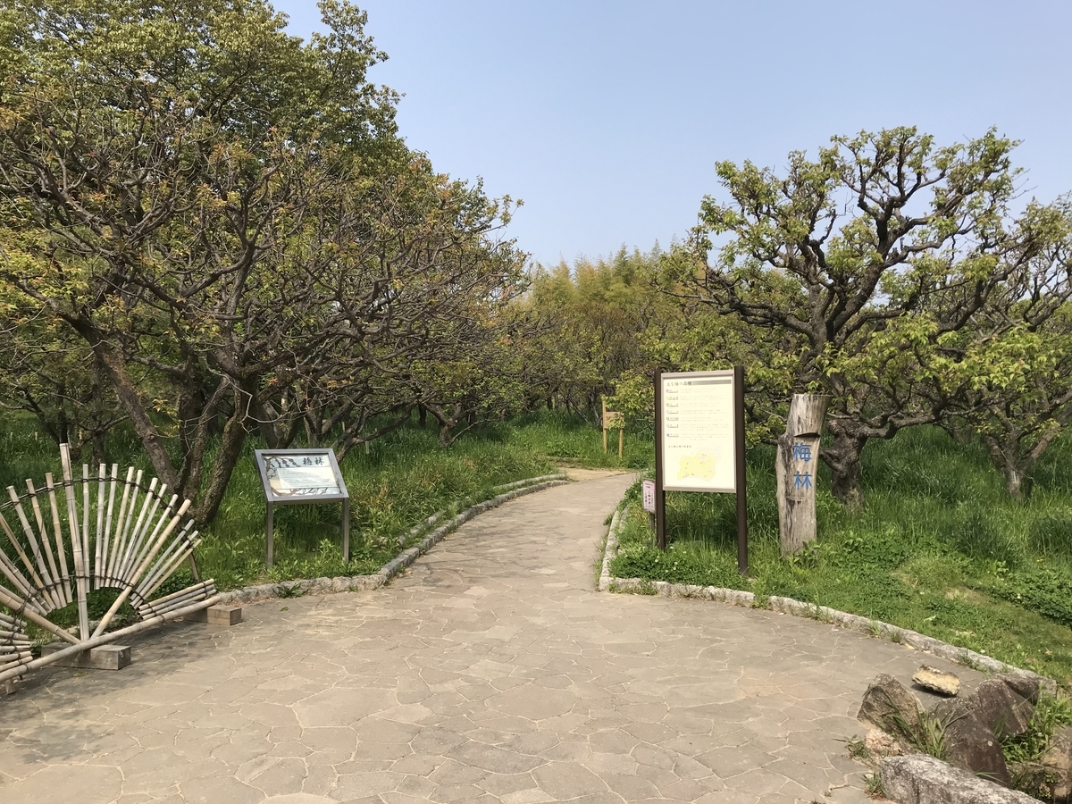 f:id:spiritualfriends:20190422105116j:plain f:id:spiritualfriends:20190422105116j:plain