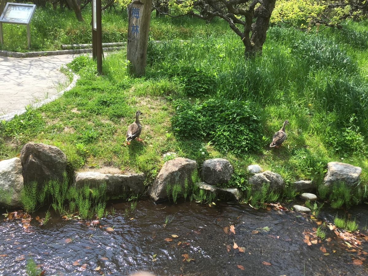 f:id:spiritualfriends:20190422105327j:plain f:id:spiritualfriends:20190422105327j:plain