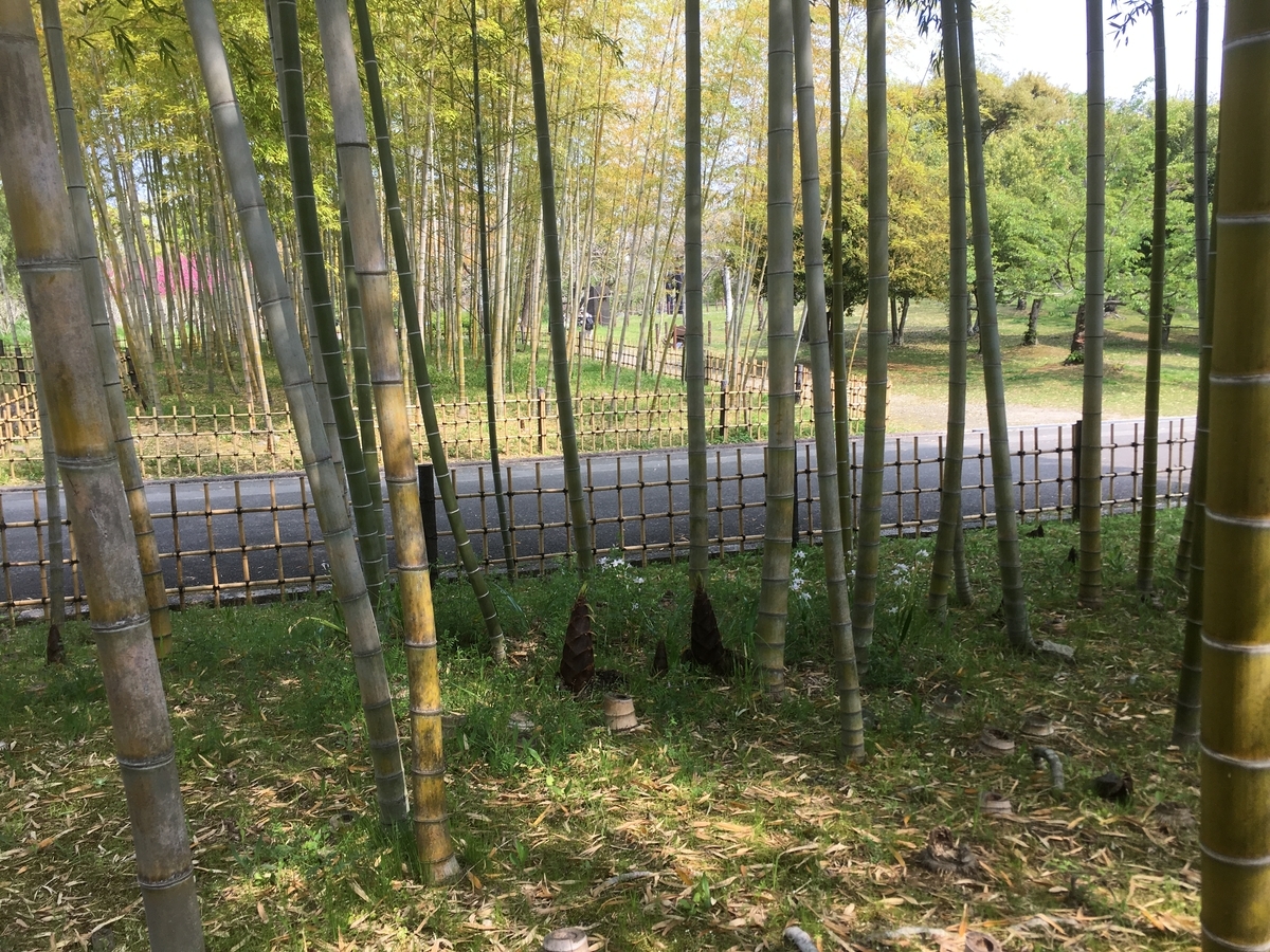 f:id:spiritualfriends:20190422105839j:plain f:id:spiritualfriends:20190422105839j:plain