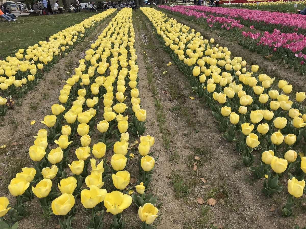 f:id:spiritualfriends:20190422141617j:plain f:id:spiritualfriends:20190422141617j:plain