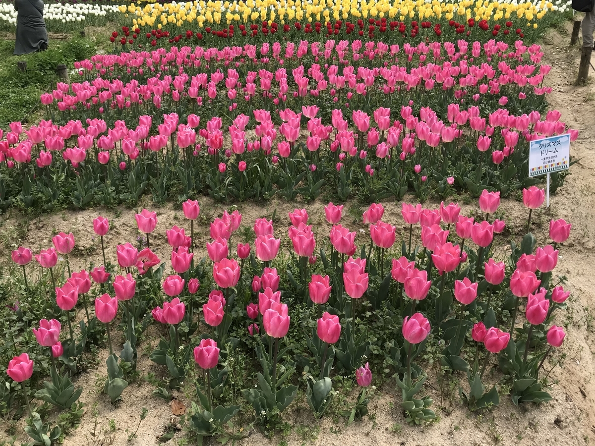 f:id:spiritualfriends:20190422141651j:plain f:id:spiritualfriends:20190422141651j:plain
