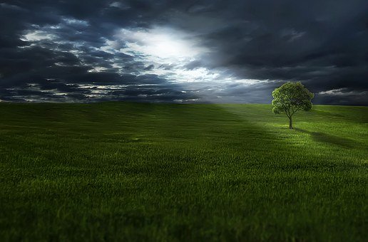 f:id:spiritualfriends:20200111185811j:plain f:id:spiritualfriends:20200111185811j:plain
