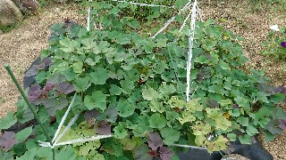 f:id:splem:20180927070858j:image