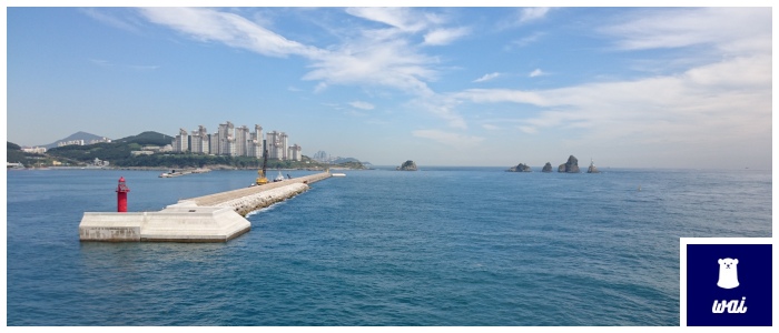 f:id:splentarou:20191116202710j:plain