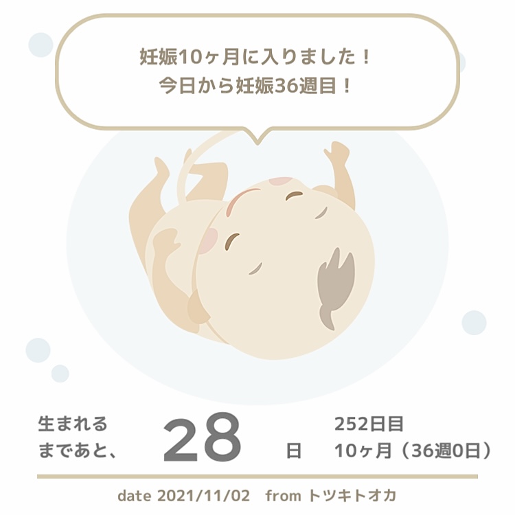 私は図太く生きる