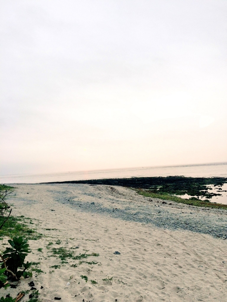 f:id:spookies_iz:20180709160713j:plain f:id:spookies_iz:20180709160713j:plain