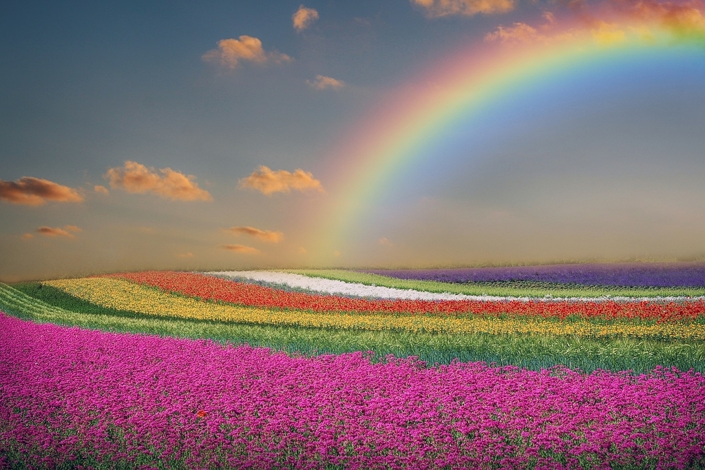 f:id:spoon28:20190312230936j:plain f:id:spoon28:20190312230936j:plain