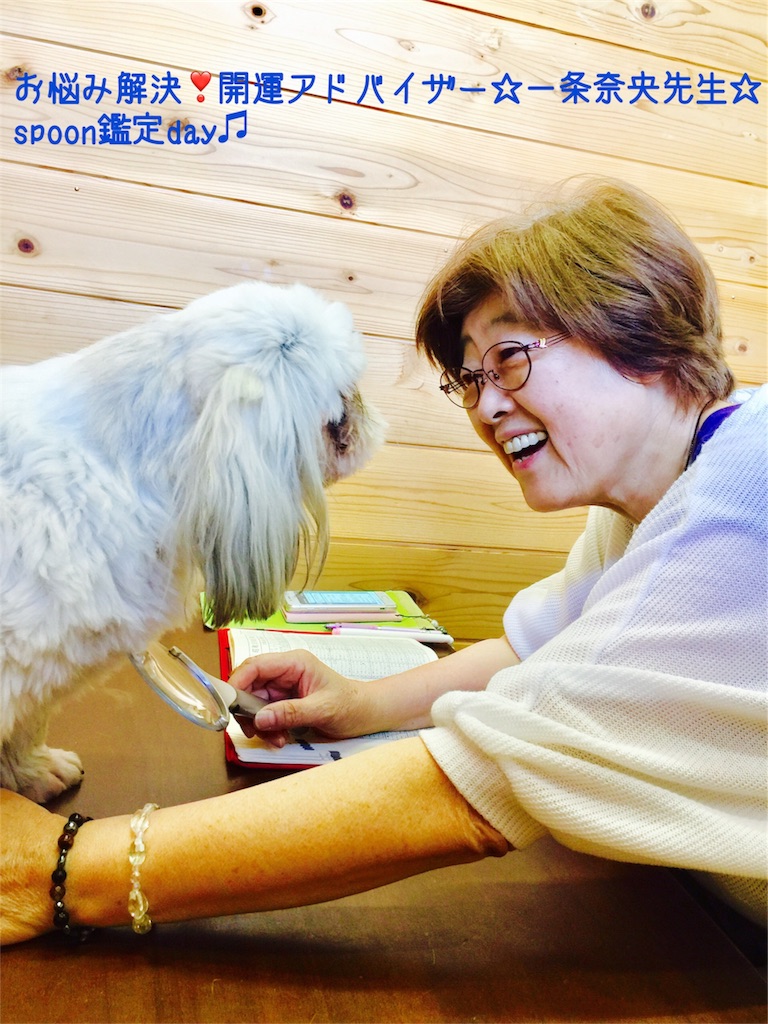 f:id:spoonstyle:20180701093030j:image