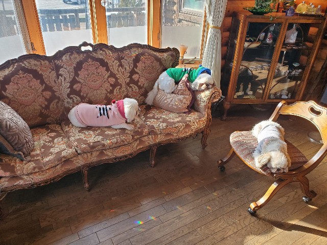 f:id:spoonstyle:20200104101206j:image