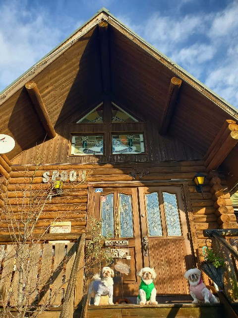 f:id:spoonstyle:20200104101322j:image