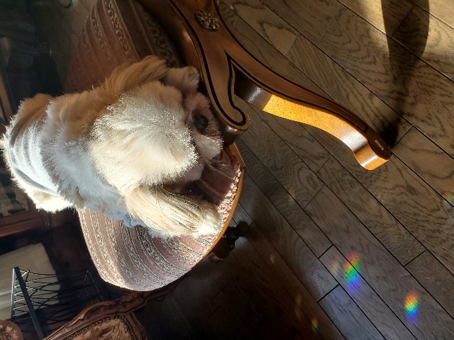 f:id:spoonstyle:20200104102402j:image