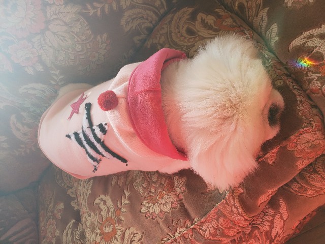 f:id:spoonstyle:20200104102441j:image