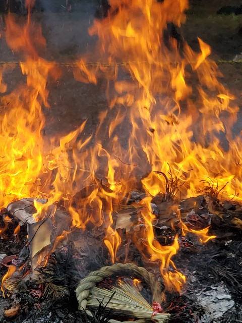 f:id:spoonstyle:20200116052415j:image f:id:spoonstyle:20200116052415j:image