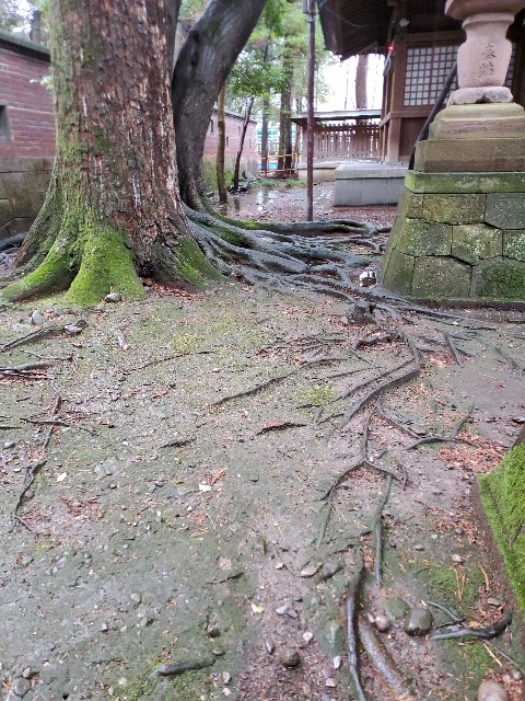 f:id:spoonstyle:20200116053518j:image f:id:spoonstyle:20200116053518j:image