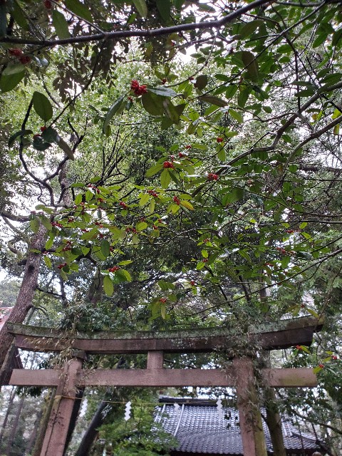 f:id:spoonstyle:20200116053637j:image f:id:spoonstyle:20200116053637j:image