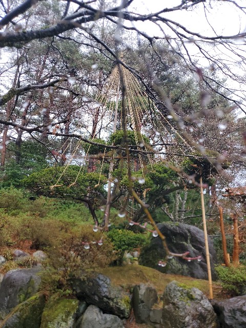 f:id:spoonstyle:20200116063304j:image f:id:spoonstyle:20200116063304j:image