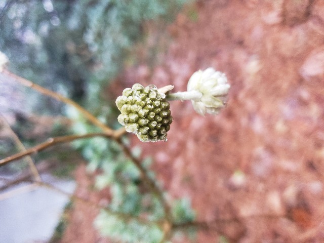 f:id:spoonstyle:20200116064021j:image f:id:spoonstyle:20200116064021j:image