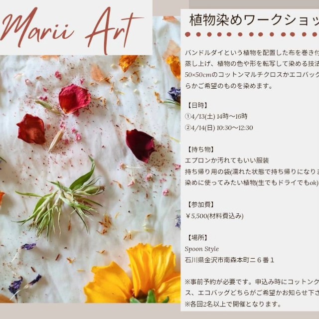 f:id:spoonstyle:20240409204117j:image