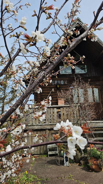 f:id:spoonstyle:20240409204216j:image